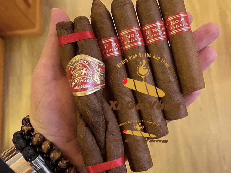 Lựa chọn địa chỉ bán cigar Cuba uy tín